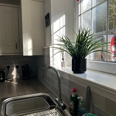 Dom wakacyjny Mews *